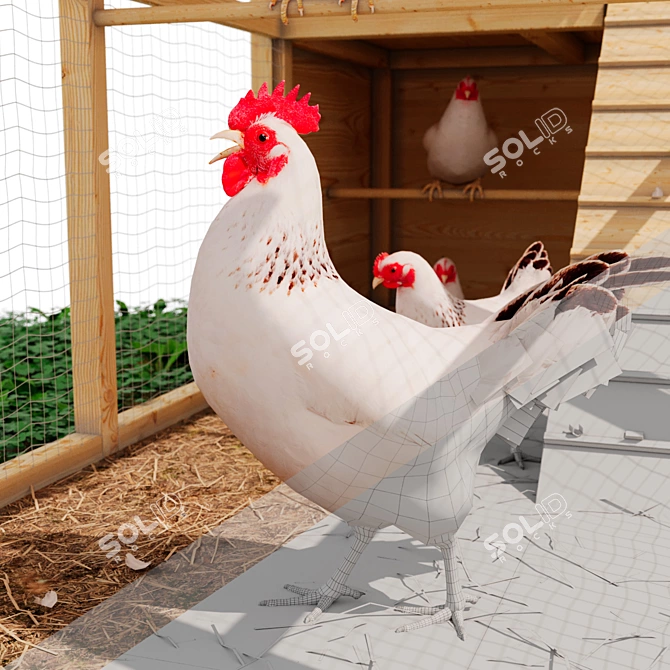 Outdoor Chicken Coop (Low Poly) 3D model image 3