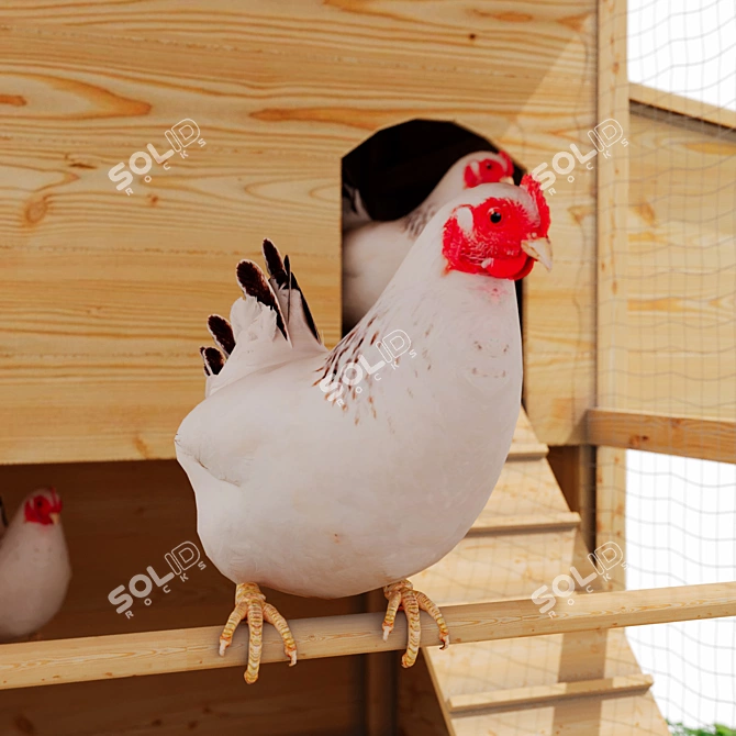 Outdoor Chicken Coop (Low Poly) 3D model image 4