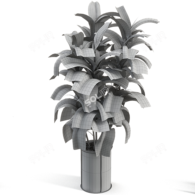 Rejuvenate Your Space with Rubber Tree 019 3D model image 2