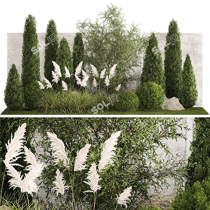 Urban Oasis Collection: Ornamental Trees & Grasses 3D model image 1