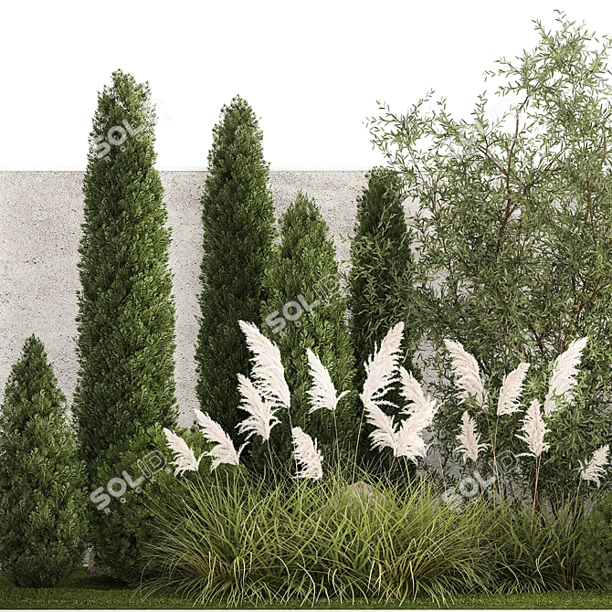 Urban Oasis Collection: Ornamental Trees & Grasses 3D model image 2