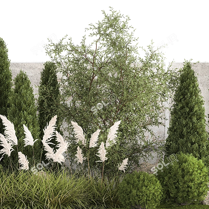 Urban Oasis Collection: Ornamental Trees & Grasses 3D model image 3