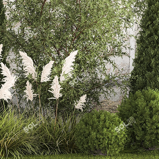 Urban Oasis Collection: Ornamental Trees & Grasses 3D model image 6