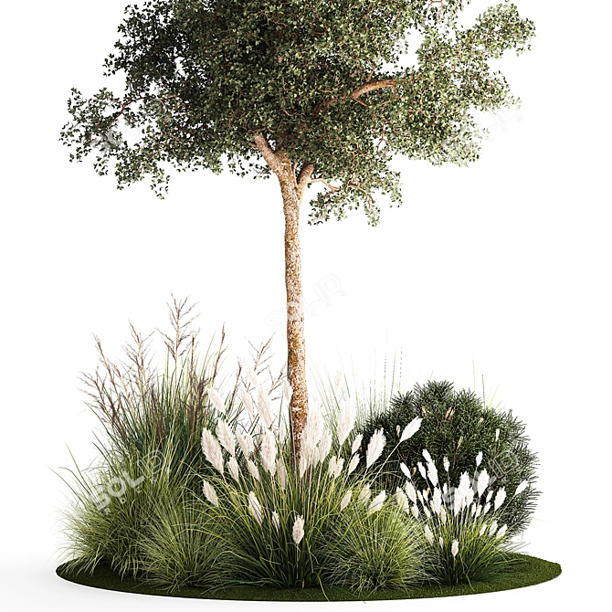 Tropical Trees Collection with Grasses 3D model image 3