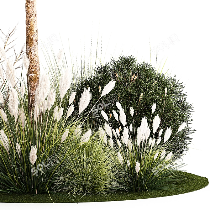 Tropical Trees Collection with Grasses 3D model image 4