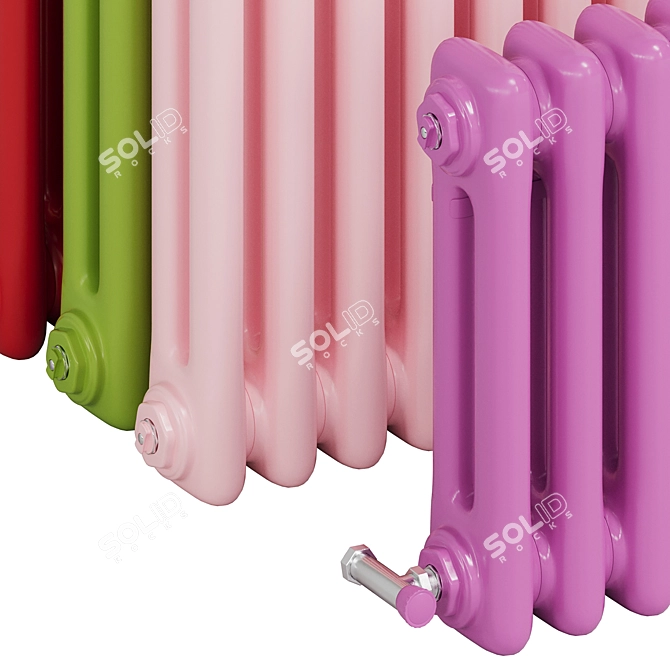 Solira Vertical Tube Radiator 3D model image 3