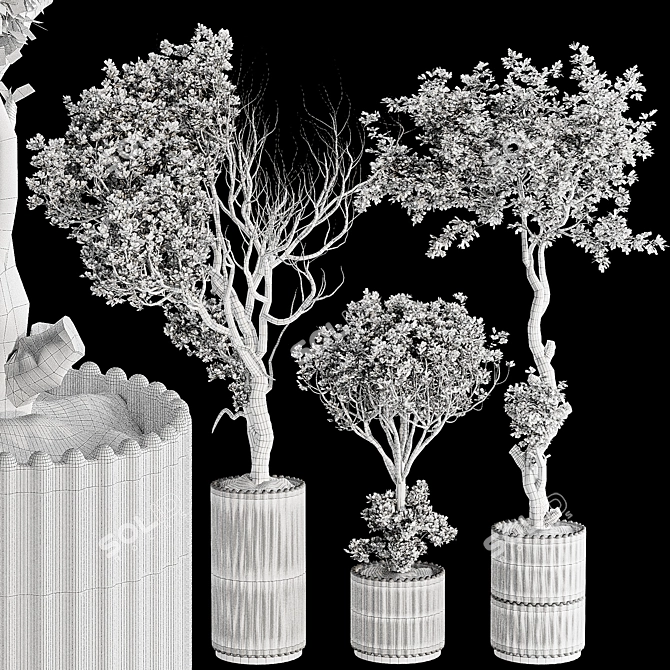 Olive Bonsai Tree Pottery Decor 3D model image 7