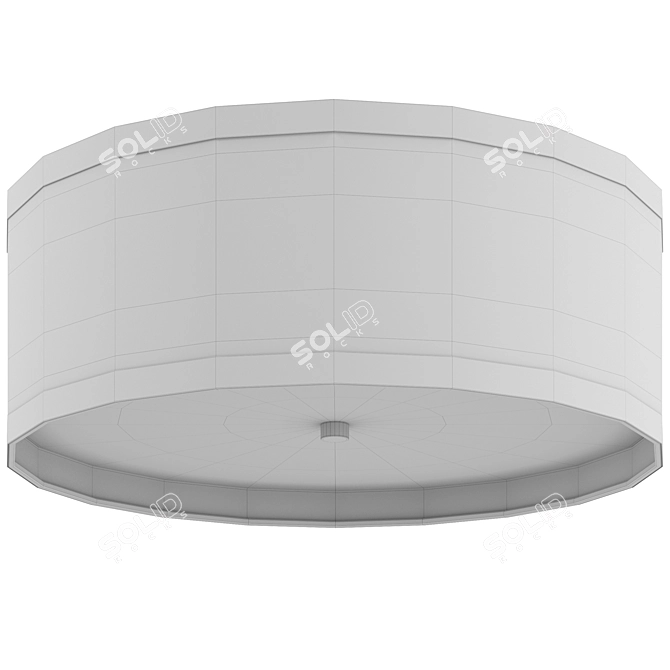 Contemporary Visual Comfort Ceiling Light 3D model image 2