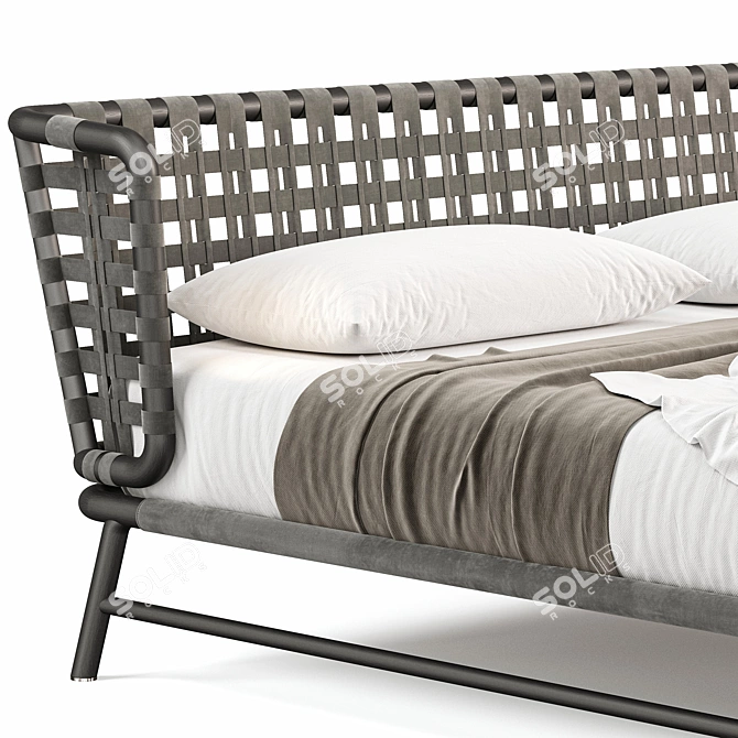 Luxury Meridiani Leather Bed 3D model image 3