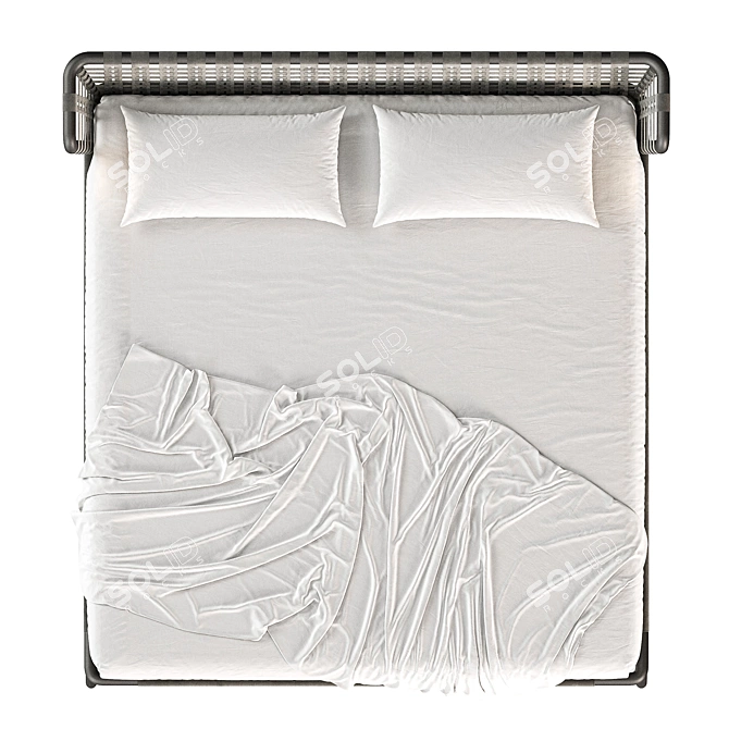 Luxury Meridiani Leather Bed 3D model image 5