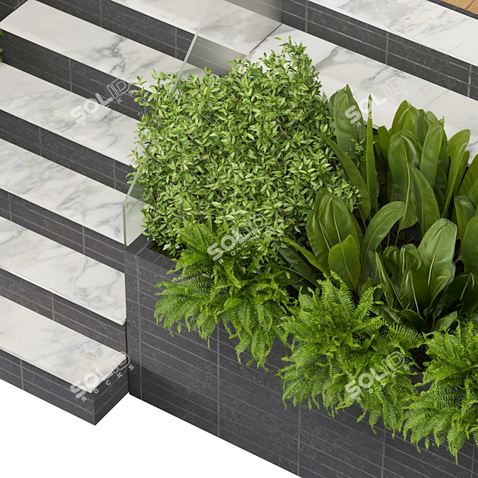 Volume 507 Plants Collection: Entrance 3D model image 5