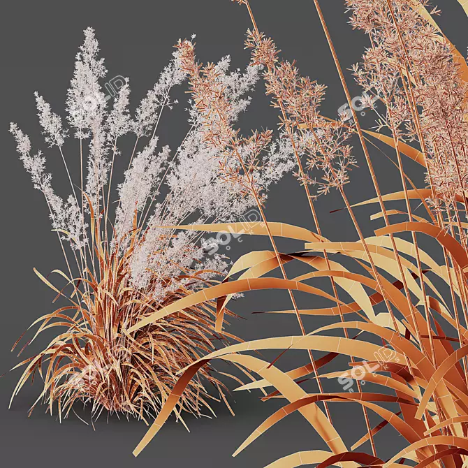 Mexican Feather Grass 3D Models 3D model image 5