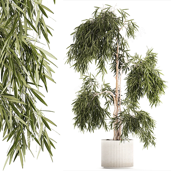 White Flowerpot Weeping Willow 3D model image 1