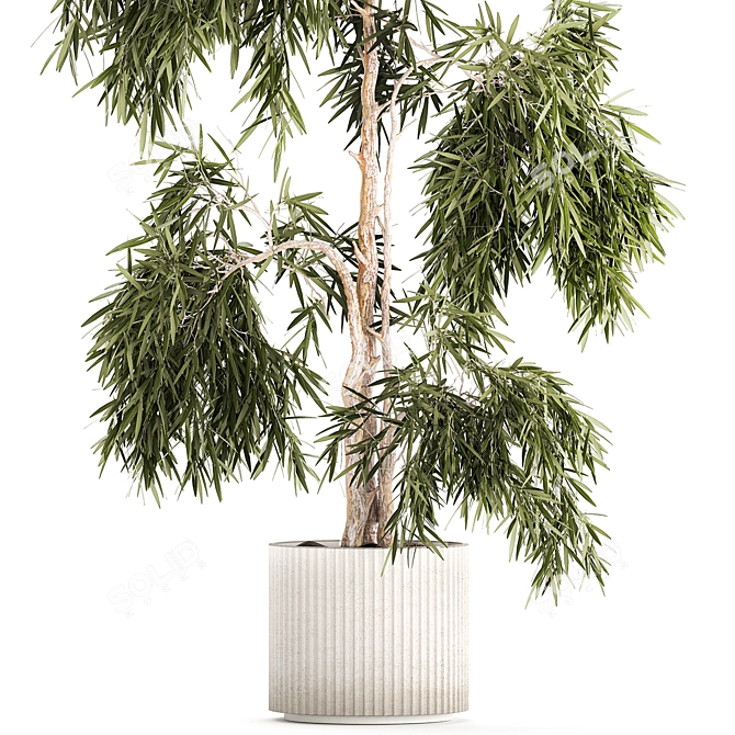 White Flowerpot Weeping Willow 3D model image 2