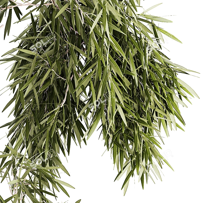 White Flowerpot Weeping Willow 3D model image 5