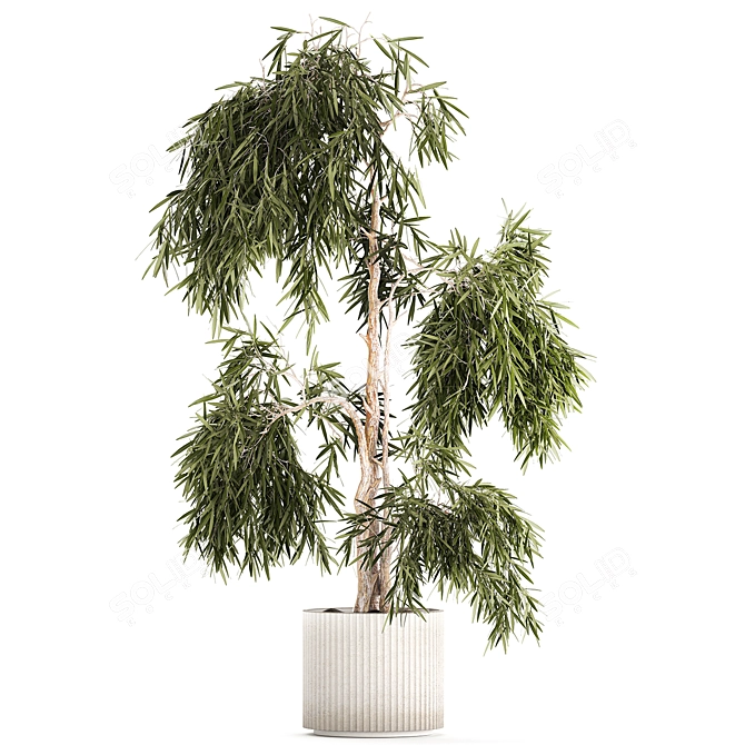 White Flowerpot Weeping Willow 3D model image 6