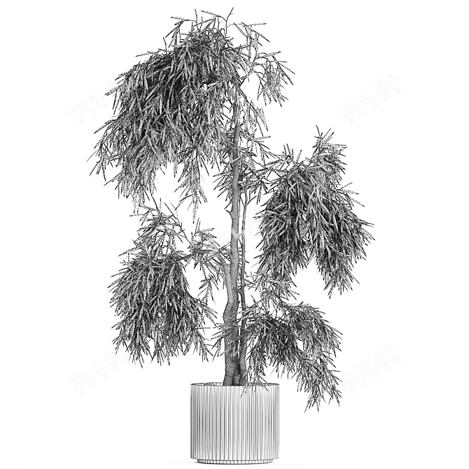 White Flowerpot Weeping Willow 3D model image 7