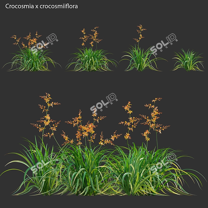 Complete 3D Plant Collection Solution 3D model image 1