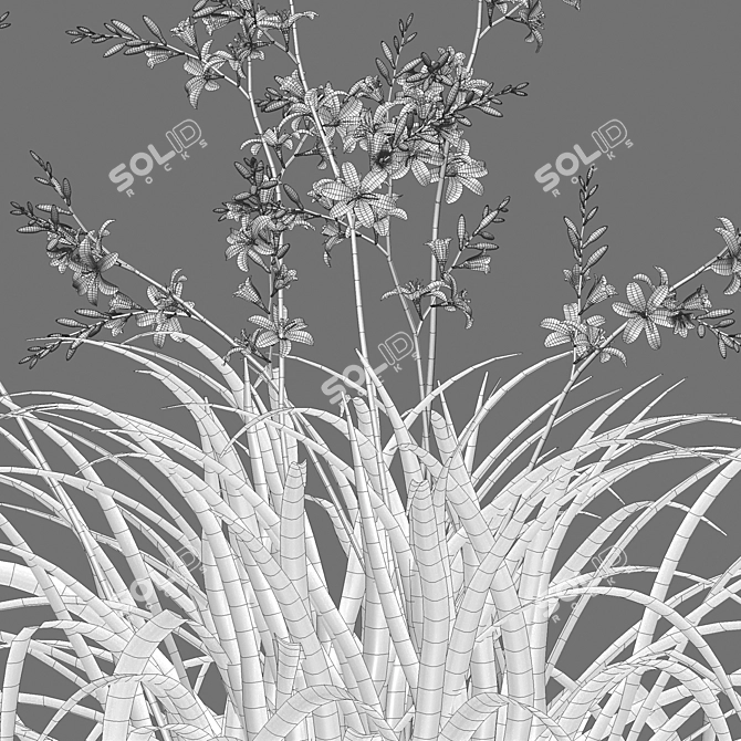 Complete 3D Plant Collection Solution 3D model image 3