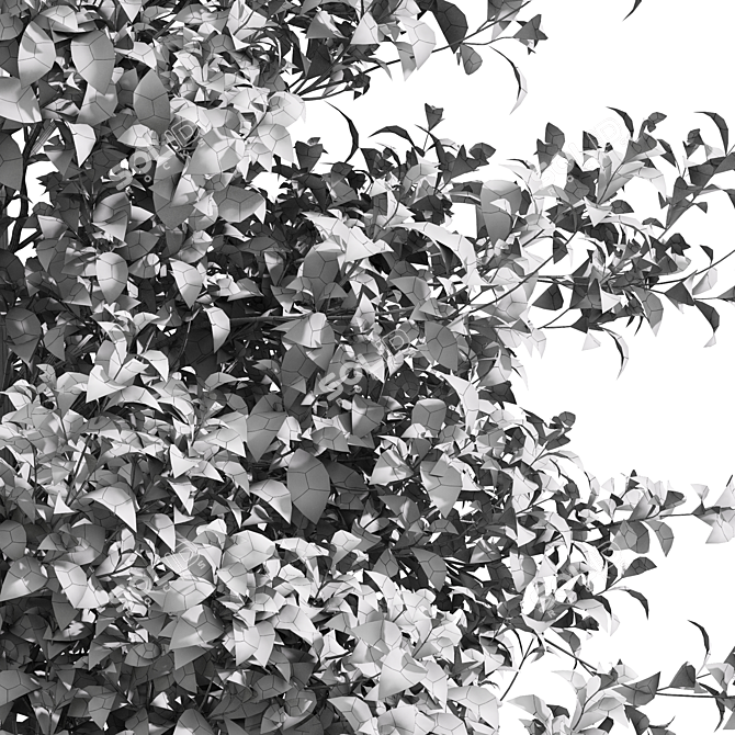 Maple and Ash Tree Bundle 3D model image 7