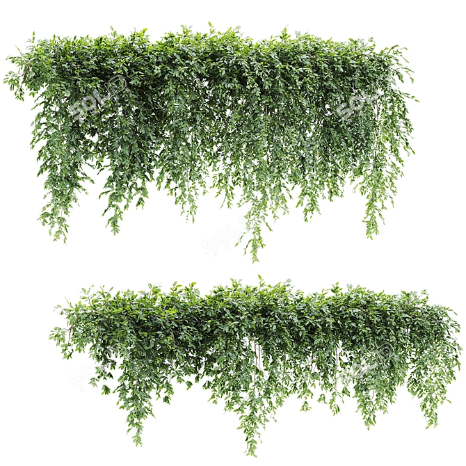 Russet Plants Collection 3D Models 3D model image 1