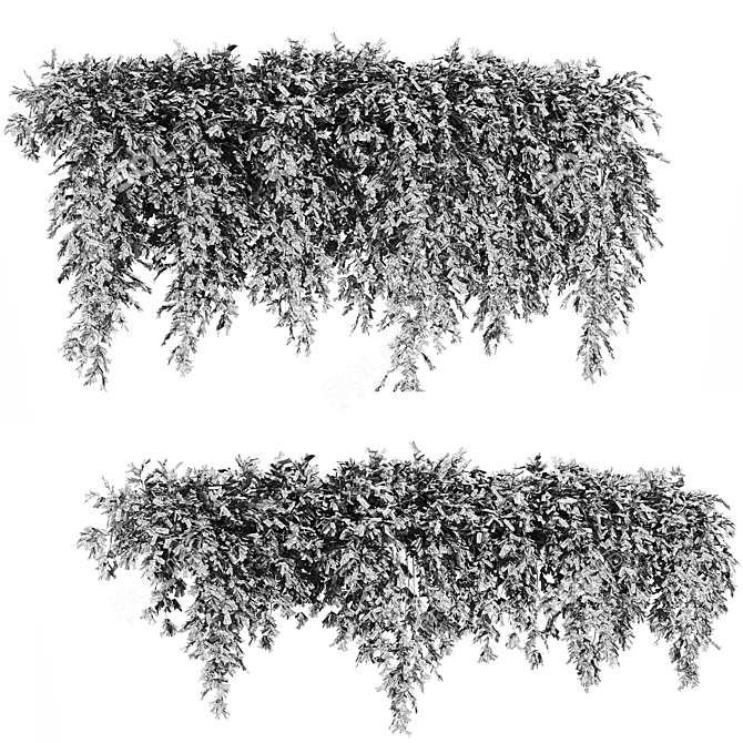 Russet Plants Collection 3D Models 3D model image 2