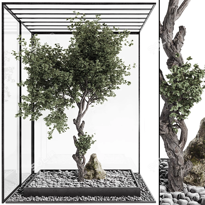 Indoor Bonsai Tree and Rocks 3D model image 1