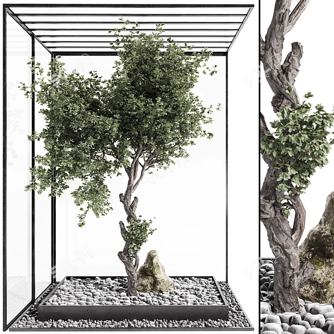 Indoor Bonsai Tree and Rocks 3D model image 3