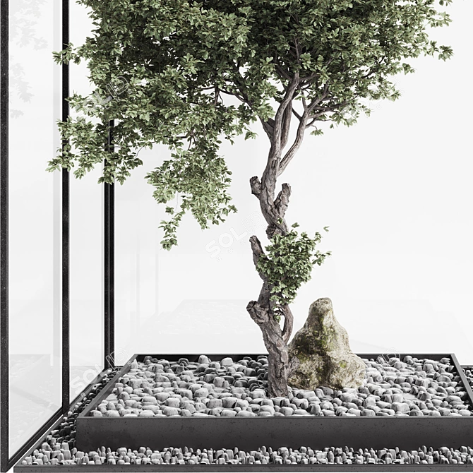 Indoor Bonsai Tree and Rocks 3D model image 4