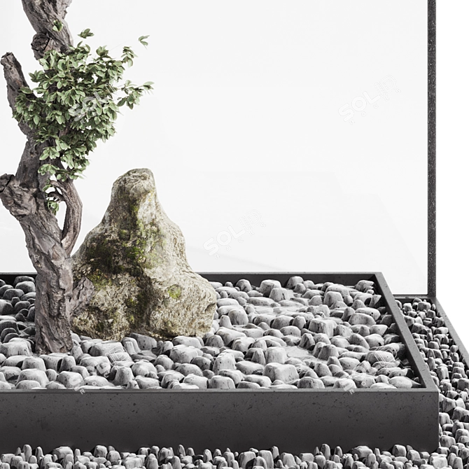 Indoor Bonsai Tree and Rocks 3D model image 5