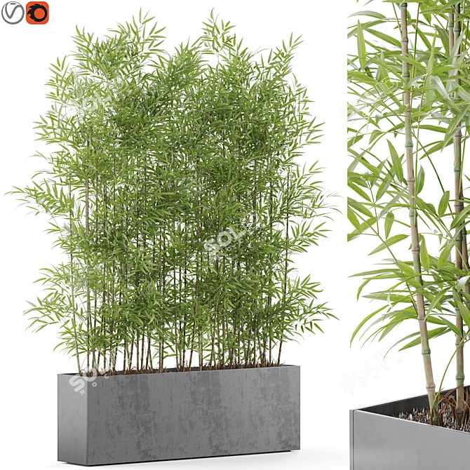 Botanical Beauties Bundle 973 3D model image 1