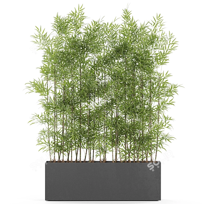 Botanical Beauties Bundle 973 3D model image 2