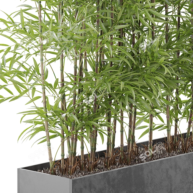 Botanical Beauties Bundle 973 3D model image 3