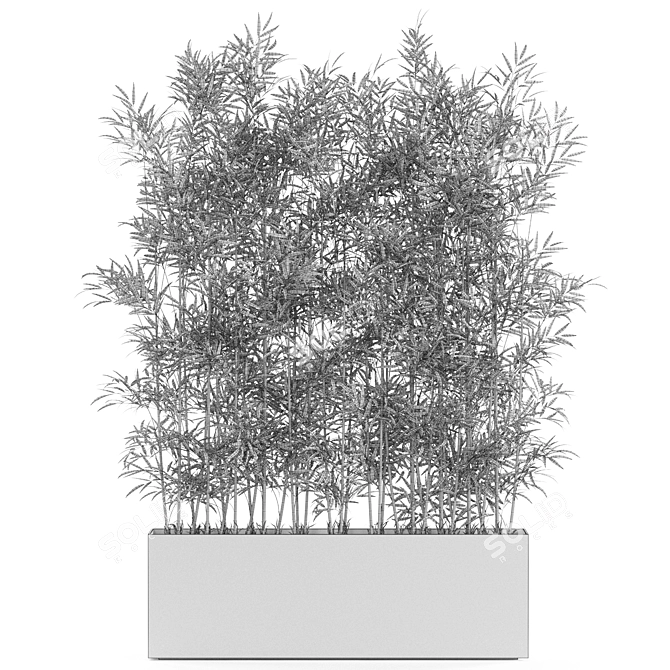 Botanical Beauties Bundle 973 3D model image 4