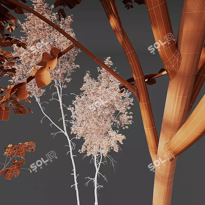 Silver Birch HQ 3D Models 3D model image 4