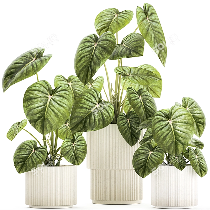 Exotic Anthurium Crystal Plant Set 3D model image 1