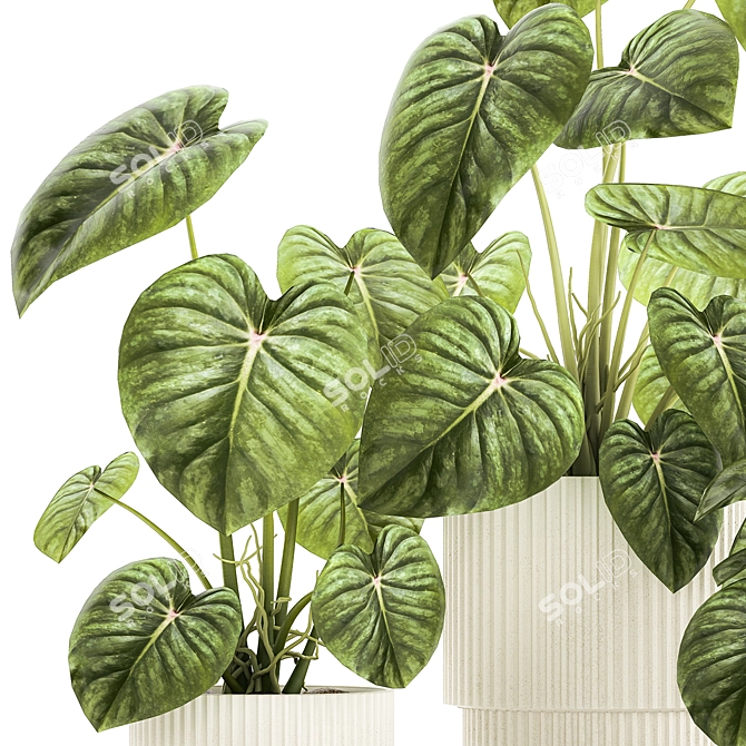 Exotic Anthurium Crystal Plant Set 3D model image 4