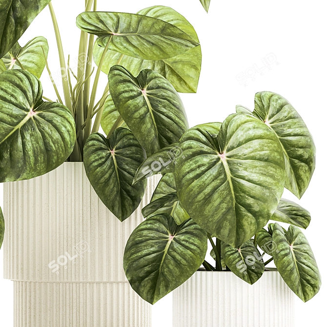 Exotic Anthurium Crystal Plant Set 3D model image 5