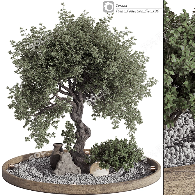 Vintage Olive Tree Patio Decor 3D model image 1