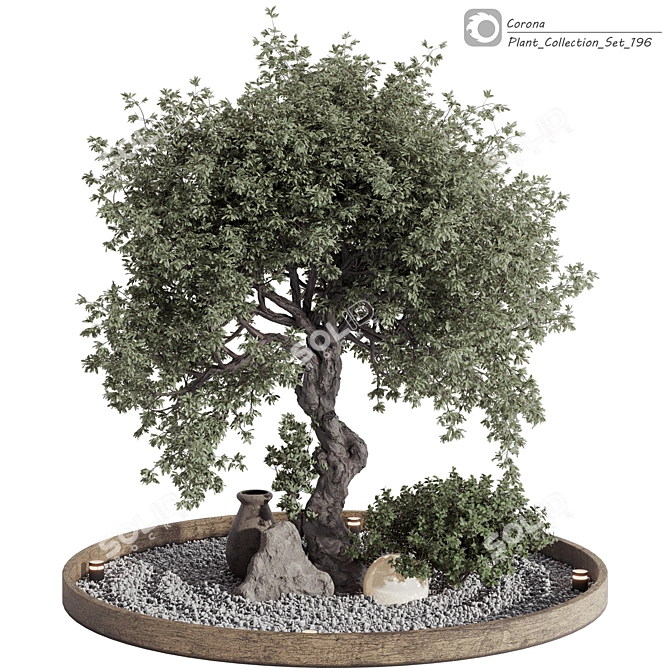 Vintage Olive Tree Patio Decor 3D model image 2