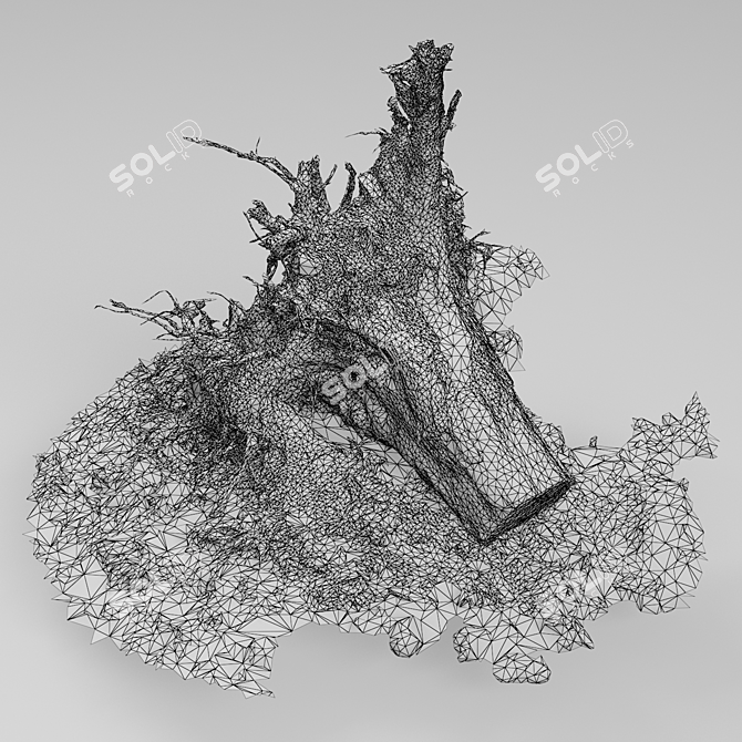 Vintage Tree Stump 3D model image 5