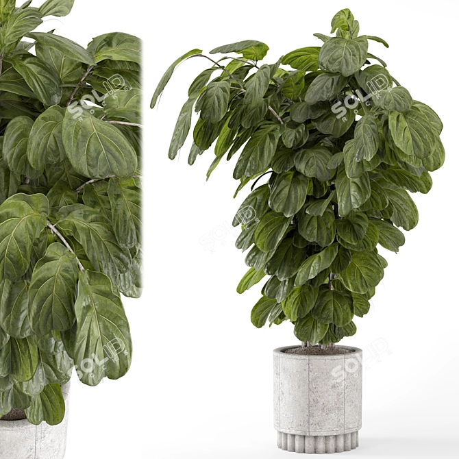 Natural Concrete Pot Indoor Plants 3D model image 1