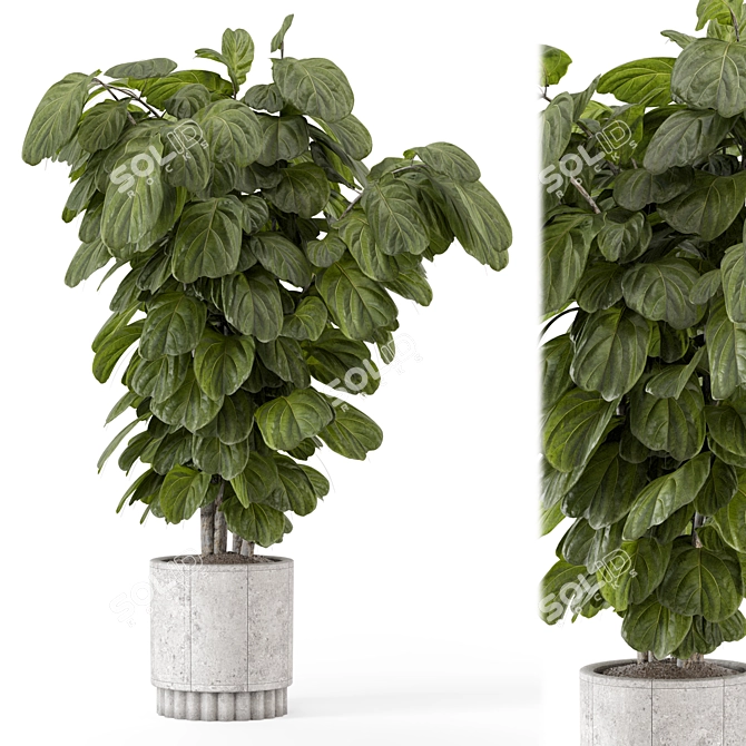 Natural Concrete Pot Indoor Plants 3D model image 2