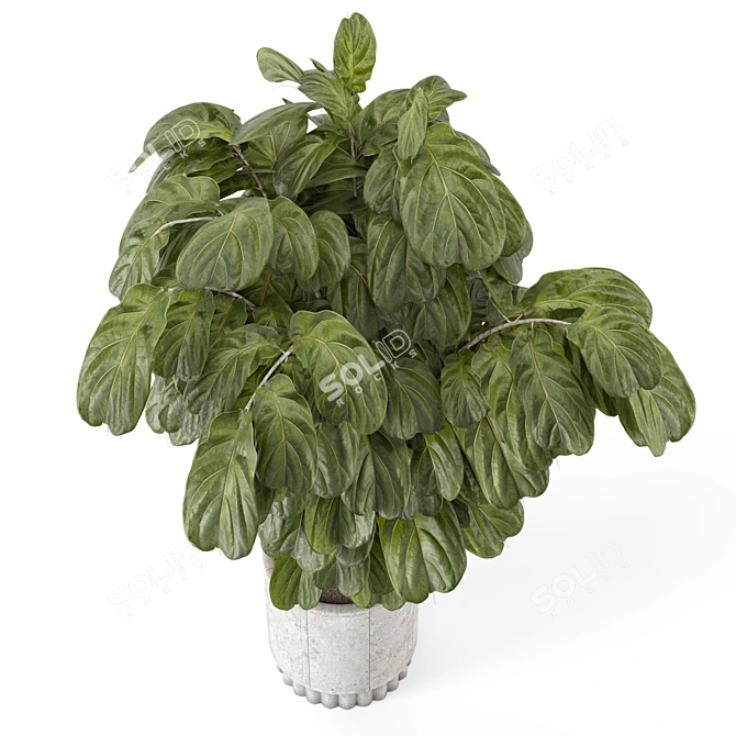 Natural Concrete Pot Indoor Plants 3D model image 3