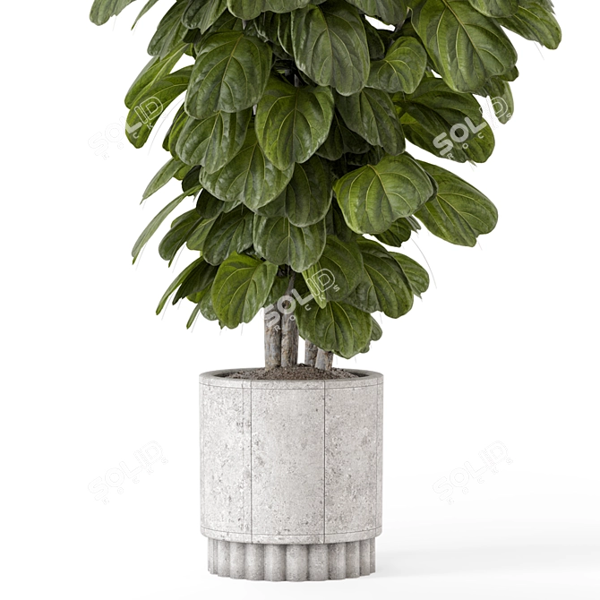 Natural Concrete Pot Indoor Plants 3D model image 4