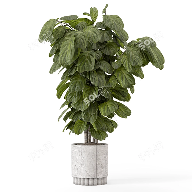 Natural Concrete Pot Indoor Plants 3D model image 5