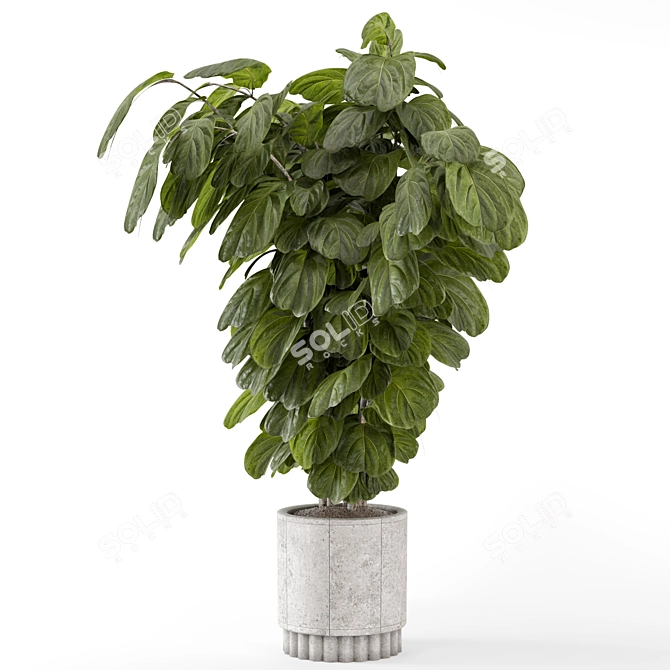 Natural Concrete Pot Indoor Plants 3D model image 6