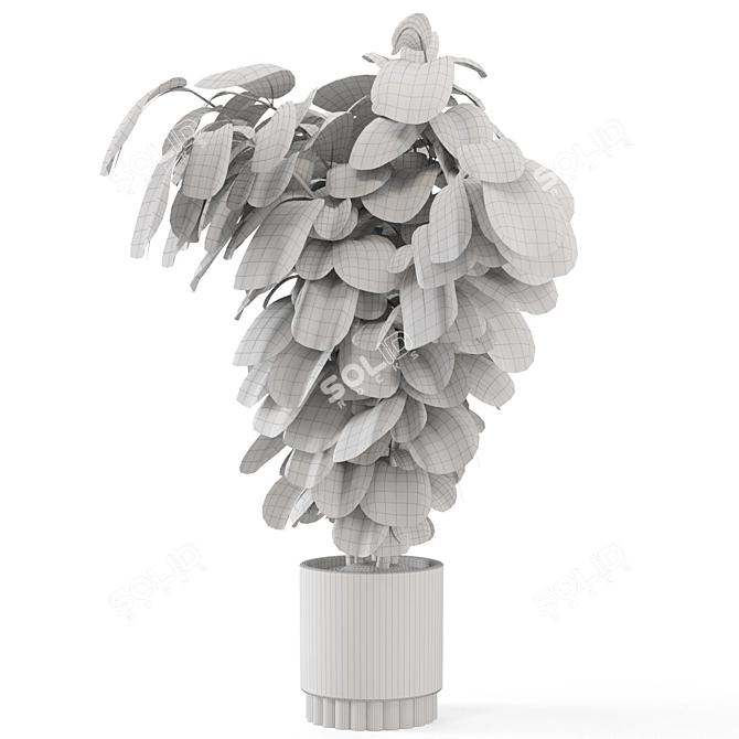 Natural Concrete Pot Indoor Plants 3D model image 7