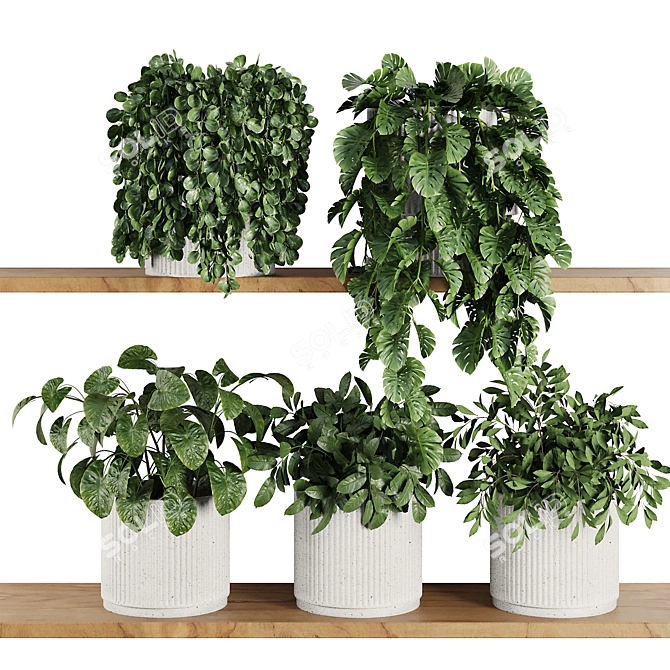 Modern Plant Shelf Display Set 3D model image 1