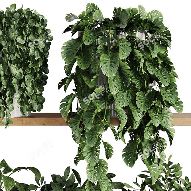 Modern Plant Shelf Display Set 3D model image 2